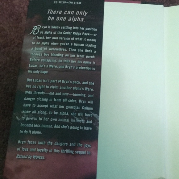 ‘trial by fire’ by jennifer lynn barnes - Picture 2 of 4